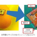 サイズは従来の1/4以下のサイズ。将来的には更に高集積化を進め、ボード間やチップ間の光配線への適用を目指していく（画像はNEDOのリリースより）。