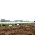 オイシックス入社式