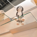 猫の肉球も眺められるガラス製キャットウォークの試作品