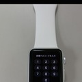 入力はApple Watchから。