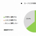 車を運転する頻度／カーナビの有無