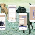 アプリは、ユーザー間での迷子犬情報の共有、迷子犬を捜索求める投稿、発見コメント、SNSへのシェアなどの機能を備える（画像はプレスリリースより）