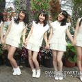 東海：DIANNA☆SWEET