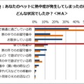 ペットに熱中症が発生した状況