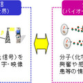 分子通信技術のイメージ