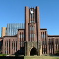 東京大学