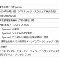 新会社の概要