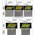 理化学研究所と東京都市大学の発表資料より