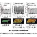 理化学研究所と東京都市大学の発表資料より