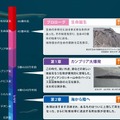 進化の過程ごとに展示