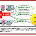 異なる方式の番組を混在して配信する技術