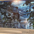 利用シーンその1。野菜や果物などの人工授粉に使える