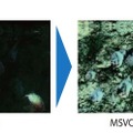 汚濁している水中の撮影映像。画像鮮明化機能をオフ（左）からオン（右）にするだけで濁った水の中も鮮明に映し出すことができる（画像はプレスリリースより）