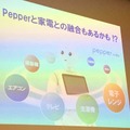 スマートホーム＋Pepperの可能性も（中山五輪男氏講演のスライドから）