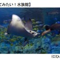 「行ってみたい！水族館」