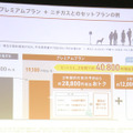 プレミアムプランとニチガスとのセット割の例