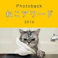 Photoback　ねこアワード　 2016