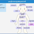 日本とカンボジアの医療スタッフの遠隔連携を可能にするサービスで、画像はカンボジアの公用語であるクメール語での表示（画像はプレスリリースより）