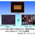 0.01ルクスという星明かり程度の照度でも高感度のカラー撮像が可能。増倍を制御することで明暗差の大きいシーンでも鮮明な撮像を実現する（画像はプレスリリースより）