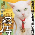 スペシャルドラマ「猫侍 玉之丞、江戸へ行く」(C)2016「猫侍SP」製作委員会　