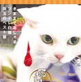 「猫侍 いやし猫DVD まるっと玉之丞」ジャケットー(C)2016「猫侍SP」製作委員会