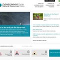 天然資源ウェールズ（Natural Resources Wales）のWebサイト。ウェールズは河川の増水により急な洪水がたびたび発生するため、洪水警報システムの重要度は高い。同社のシステムは英語とウェールズ語の両方に対応する（画像は公式Webサイトより）