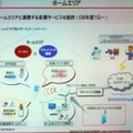 決算発表で明らかにした「ホームエリア」構想。無線LANのアクセスポイントをフェムトセルに置き換える構想もある