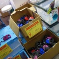 【Interpets 2016 Vol.23】会場限定お買い得品情報