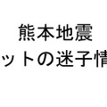 「見つけたら連絡お願い！」熊本地震で迷子のペット多数