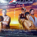 「RIZIN FIGHTING WORLD GRAND-PRIX 2015 さいたま3DAYS」の記者会見に登壇した高田延彦、バルト、RENA、シング・心・ジャディブ、曙ら