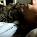【動画】飼い主とネコ、朝の恒例行事