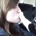 【動画】キスはお断り！飼い主のキスを拒む犬猫