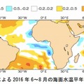 季節予報モデルによる6～8月の海面水温平年偏差予測（出典：ECMWF）