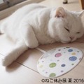 夏休みは「ねこ休み」でほっこり