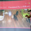 猫用のFriendsbotで猫たちが遊ぶ様子