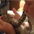 【動画】飼い主さんのキスにキレた子猫