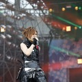 Acid Black Cherry