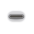 Apple、新型MacBook Pro向けにThunderbolt 3⇔Thunderbolt 2変換アダプタ発売