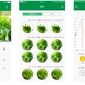 日本初！家庭用IoT水耕栽培キット「やさい物語」を沖縄セルラーが発表