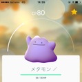 ポケモンGOにメタモン！ポッポやコラッタを捕獲後に“へんしん”解除、ジム戦では抜群の存在感発揮か