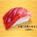 回転ずしチェーンで、本マグロが続々！280円で提供