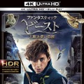 発売・販売元：ワーナー・ブラザース ホームエンターテイメント(c) 2016 Warner Bros. Ent. All Rights Reserved. Harry Potter and Fantastic Beasts Publishing Rights (c) JKR.