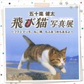 『飛び猫』写真展が開催！「春の飛び猫写真展　全国巡回」栃木・福島・京都の3都市で！