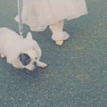 日本一ウインカーを出さない都道府県はどこ？プチプチを使った安全運転啓発動画公開