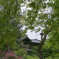 青もみじも美しい東福寺