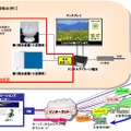 サービス概要