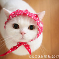 「ねこ休み展 秋 2017」の開催が決定！新作も多数展示