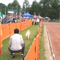 【八ヶ岳ドッグフェスタ　Vol.2】来場者が増加中！愛犬と楽しみ、犬について学んだ2日間