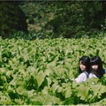 NGT48と山戸結希監督がタッグを組んだ「世界どこまで青空なのか？」のMV公開！