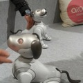 「ロボットペットはアリなのか？」たしかに犬っぽいAIBOに感心